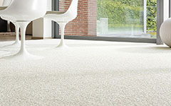 Carpet Cleaning