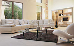 Upholstery Cleaning